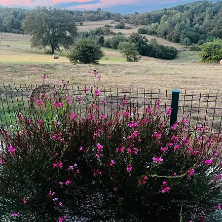 Casa Oleandro Marusici (Istria)
