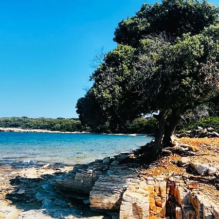 Tatil Evi Casa Oleandro *