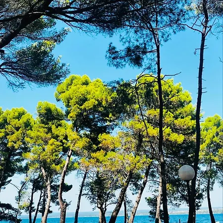 Casa Oleandro * Marusici (Istria)